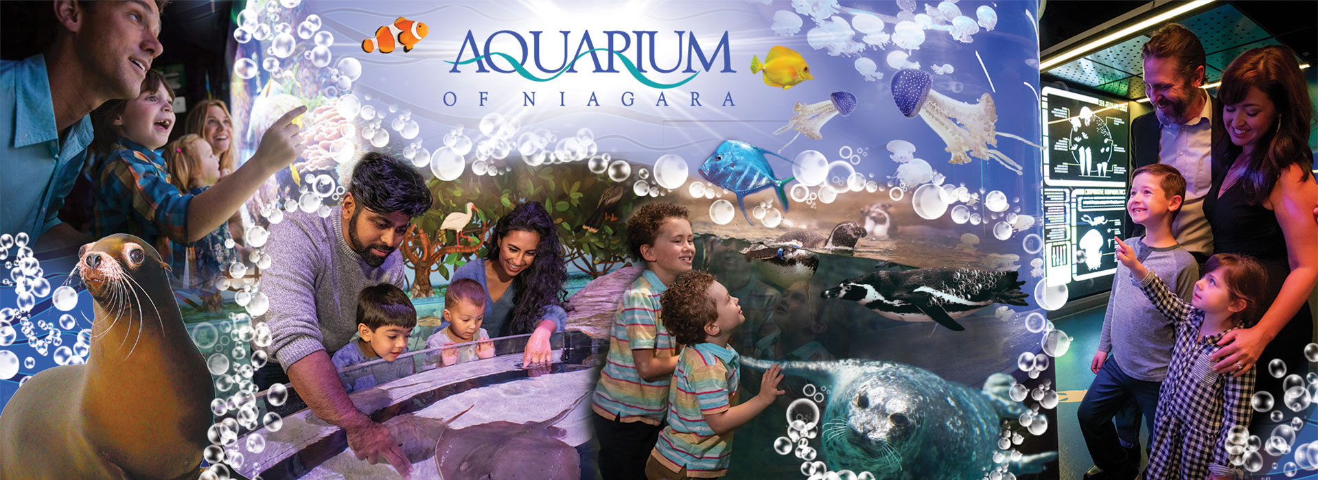 Aquarium of Niagara