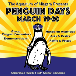 Penguin Days