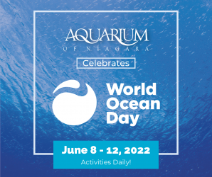 World Ocean Day at the Aquarium of Niagara