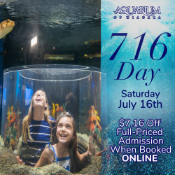 716 Day at Aquarium of Niagara