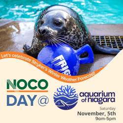 NOCO Day at Aquarium of Niagara