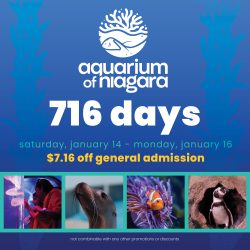 716 Days at the Aquarium of Niagara