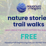 Nature Stories Trail Walks