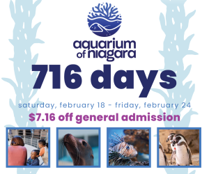 716 Days at the Aquarium of Niagara