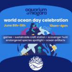 World Ocean Day Celebration