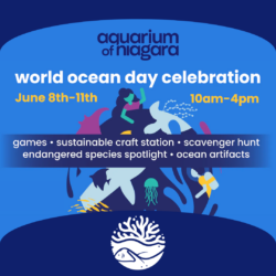 World Ocean Day Celebration