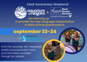 Deaf Awareness Weekend