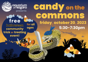 Candy on the Commons